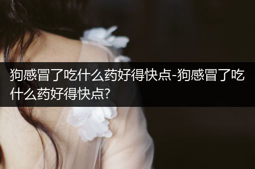 狗感冒了吃什么藥好得快點-狗感冒了吃什么藥好得快點?