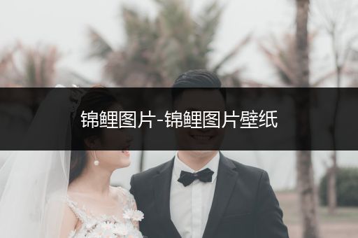 錦鯉圖片-錦鯉圖片壁紙