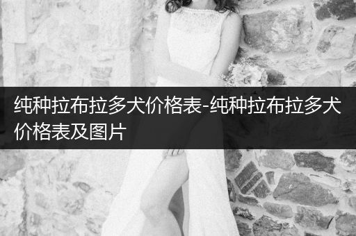 純種拉布拉多犬價(jià)格表-純種拉布拉多犬價(jià)格表及圖片