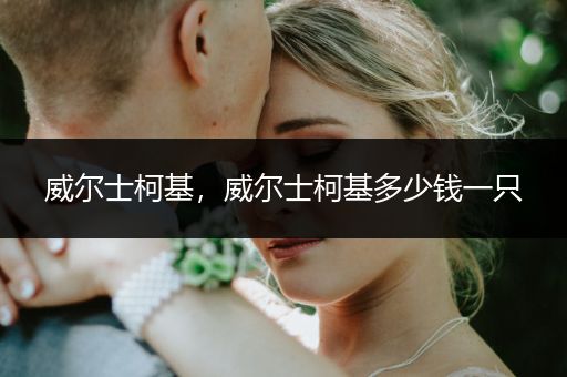 威爾士柯基，威爾士柯基多少錢一只