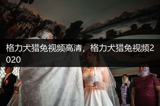 格力犬獵兔視頻高清，格力犬獵兔視頻2020