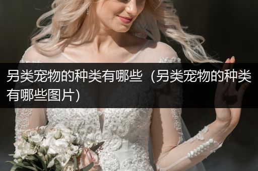 另類(lèi)寵物的種類(lèi)有哪些（另類(lèi)寵物的種類(lèi)有哪些圖片）