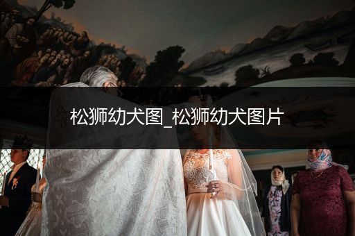 松獅幼犬圖_松獅幼犬圖片