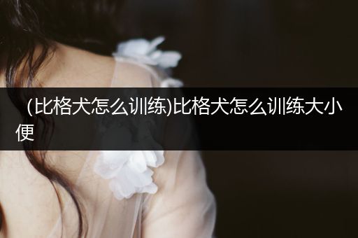 (比格犬怎么訓(xùn)練)比格犬怎么訓(xùn)練大小便