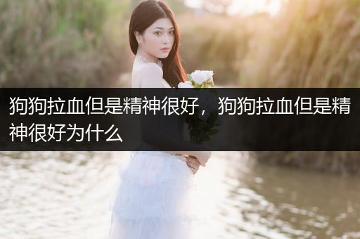 狗狗拉血但是精神很好，狗狗拉血但是精神很好為什么
