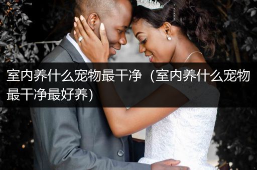 室內養(yǎng)什么寵物最干凈（室內養(yǎng)什么寵物最干凈最好養(yǎng)）