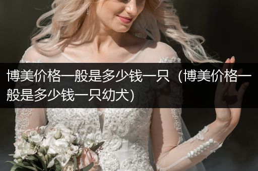 博美價格一般是多少錢一只（博美價格一般是多少錢一只幼犬）