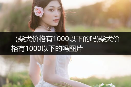 （柴犬價格有1000以下的嗎)柴犬價格有1000以下的嗎圖片