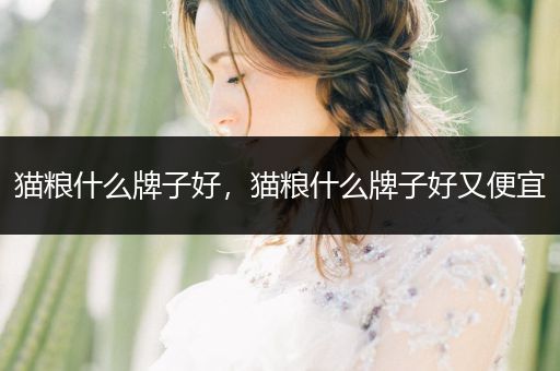 貓糧什么牌子好，貓糧什么牌子好又便宜