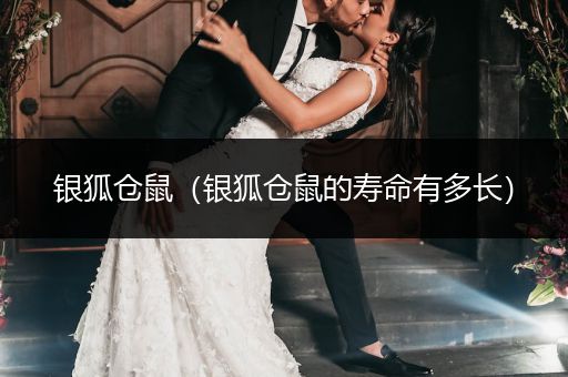 銀狐倉鼠（銀狐倉鼠的壽命有多長）