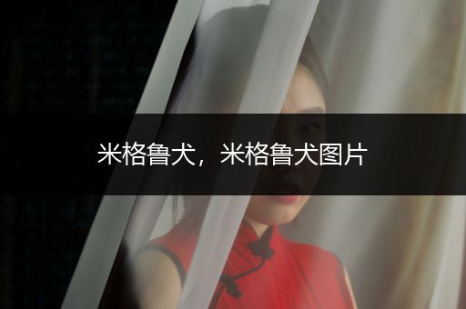 米格魯犬，米格魯犬圖片