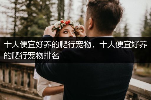 十大便宜好養(yǎng)的爬行寵物，十大便宜好養(yǎng)的爬行寵物排名