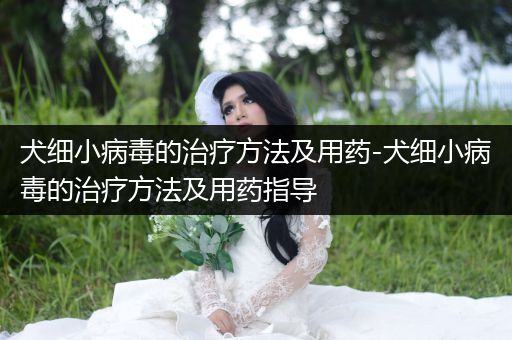 犬細(xì)小病毒的治療方法及用藥-犬細(xì)小病毒的治療方法及用藥指導(dǎo)