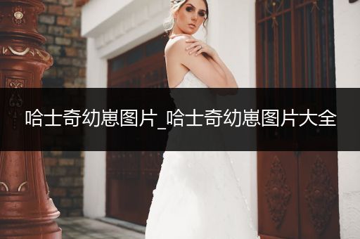 哈士奇幼崽圖片_哈士奇幼崽圖片大全