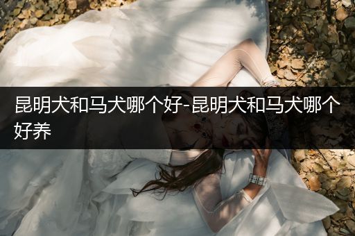 昆明犬和馬犬哪個好-昆明犬和馬犬哪個好養(yǎng)