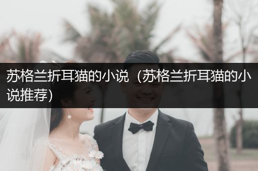 蘇格蘭折耳貓的小說(shuō)(蘇格蘭折耳貓的小說(shuō)推薦)