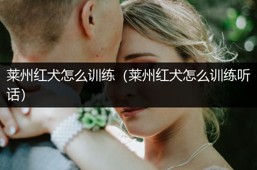 萊州紅犬怎么訓(xùn)練（萊州紅犬怎么訓(xùn)練聽話）