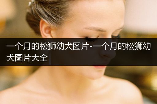 一個(gè)月的松獅幼犬圖片-一個(gè)月的松獅幼犬圖片大全