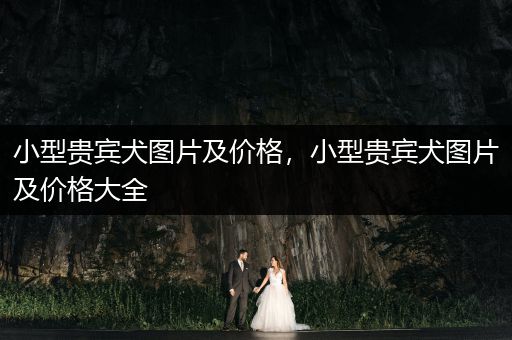 小型貴賓犬圖片及價格，小型貴賓犬圖片及價格大全