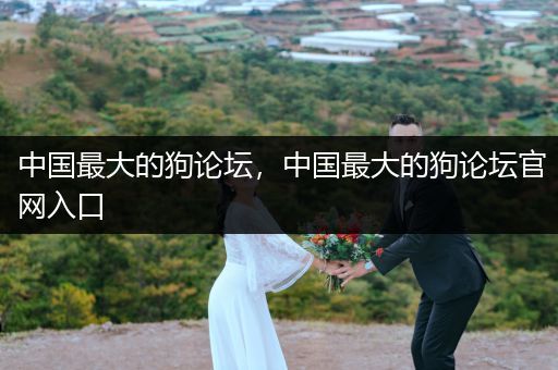 中國最大的狗論壇，中國最大的狗論壇官網(wǎng)入口