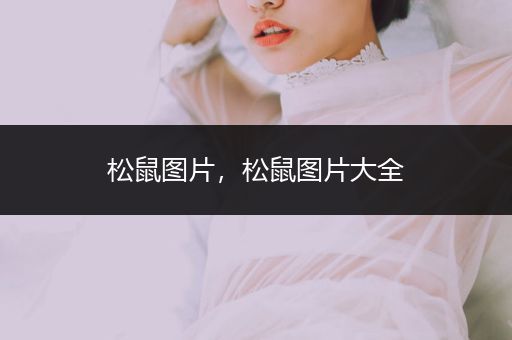 松鼠圖片，松鼠圖片大全