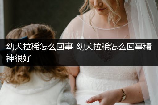 幼犬拉稀怎么回事-幼犬拉稀怎么回事精神很好
