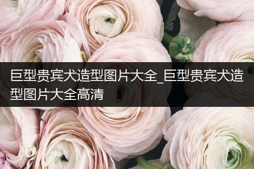 巨型貴賓犬造型圖片大全_巨型貴賓犬造型圖片大全高清