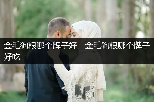 金毛狗糧哪個(gè)牌子好，金毛狗糧哪個(gè)牌子好吃