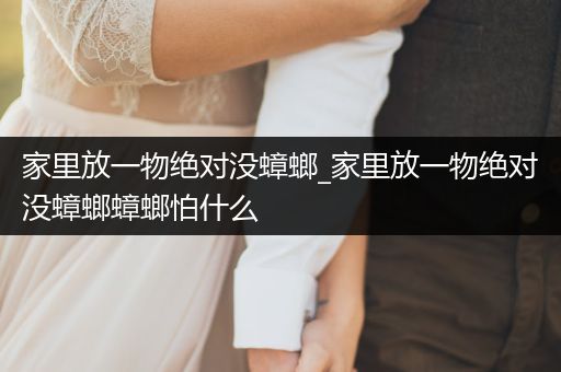 家里放一物絕對(duì)沒蟑螂_家里放一物絕對(duì)沒蟑螂蟑螂怕什么