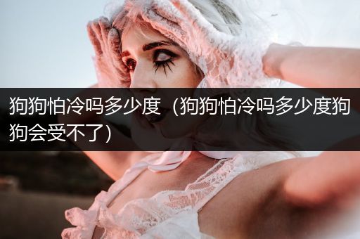 狗狗怕冷嗎多少度（狗狗怕冷嗎多少度狗狗會(huì)受不了）