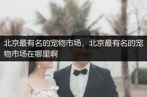 北京最有名的寵物市場，北京最有名的寵物市場在哪里啊