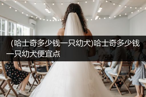 （哈士奇多少錢一只幼犬)哈士奇多少錢一只幼犬便宜點