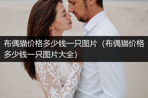 布偶貓價(jià)格多少錢一只圖片(布偶貓價(jià)格多少錢一只圖片大全)