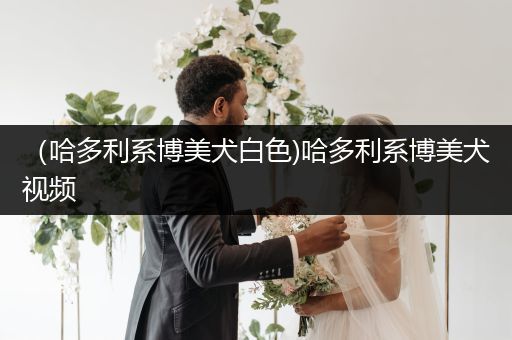 （哈多利系博美犬白色)哈多利系博美犬視頻