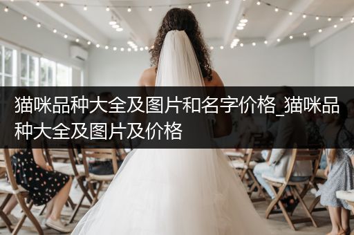 貓咪品種大全及圖片和名字價(jià)格_貓咪品種大全及圖片及價(jià)格