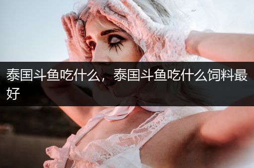 泰國斗魚吃什么，泰國斗魚吃什么飼料最好