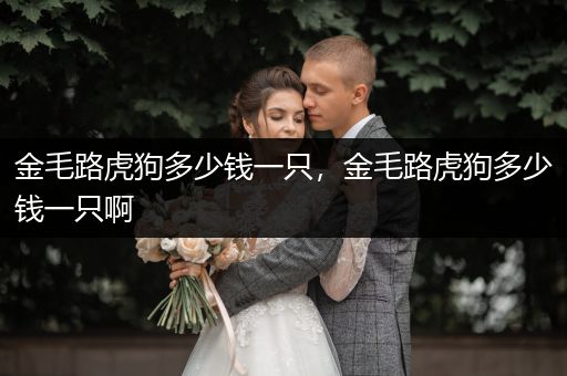 金毛路虎狗多少錢一只，金毛路虎狗多少錢一只啊