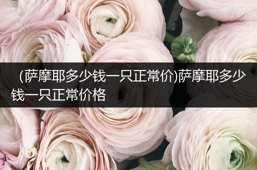 （薩摩耶多少錢一只正常價(jià))薩摩耶多少錢一只正常價(jià)格