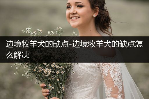 邊境牧羊犬的缺點-邊境牧羊犬的缺點怎么解決