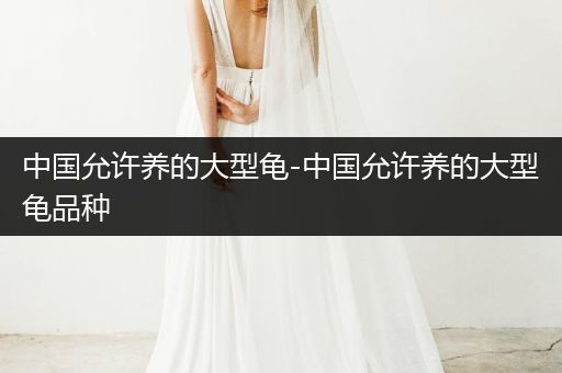中國允許養(yǎng)的大型龜-中國允許養(yǎng)的大型龜品種