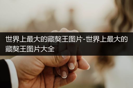 世界上最大的藏獒王圖片-世界上最大的藏獒王圖片大全