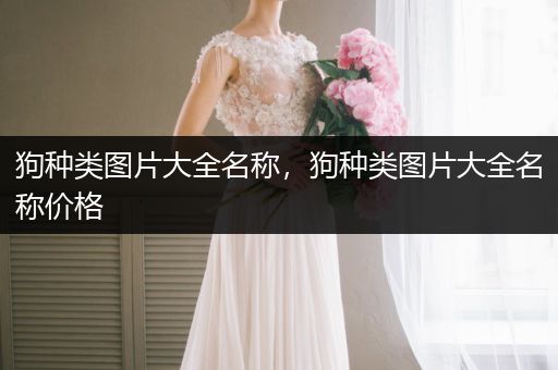 狗種類圖片大全名稱，狗種類圖片大全名稱價格