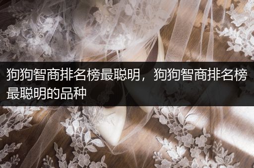 狗狗智商排名榜最聰明，狗狗智商排名榜最聰明的品種