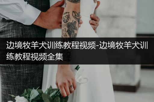 邊境牧羊犬訓(xùn)練教程視頻-邊境牧羊犬訓(xùn)練教程視頻全集