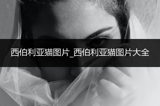 西伯利亞貓圖片_西伯利亞貓圖片大全