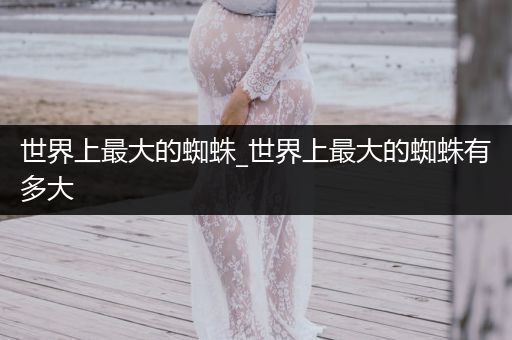 世界上最大的蜘蛛_世界上最大的蜘蛛有多大