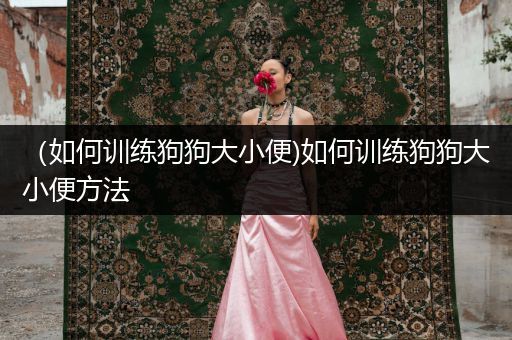 （如何訓(xùn)練狗狗大小便)如何訓(xùn)練狗狗大小便方法