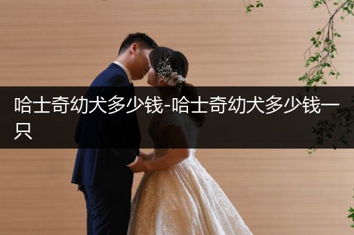 哈士奇幼犬多少錢-哈士奇幼犬多少錢一只