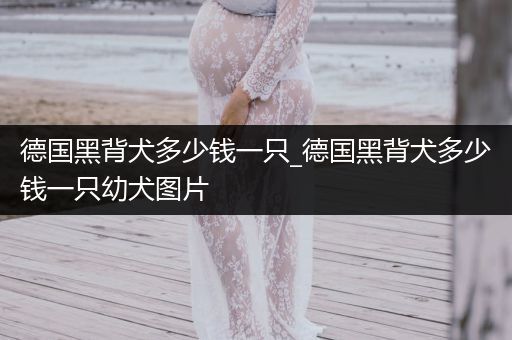 德國黑背犬多少錢一只_德國黑背犬多少錢一只幼犬圖片