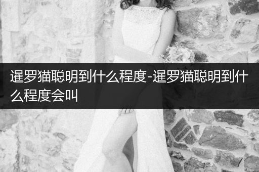 暹羅貓聰明到什么程度-暹羅貓聰明到什么程度會(huì)叫